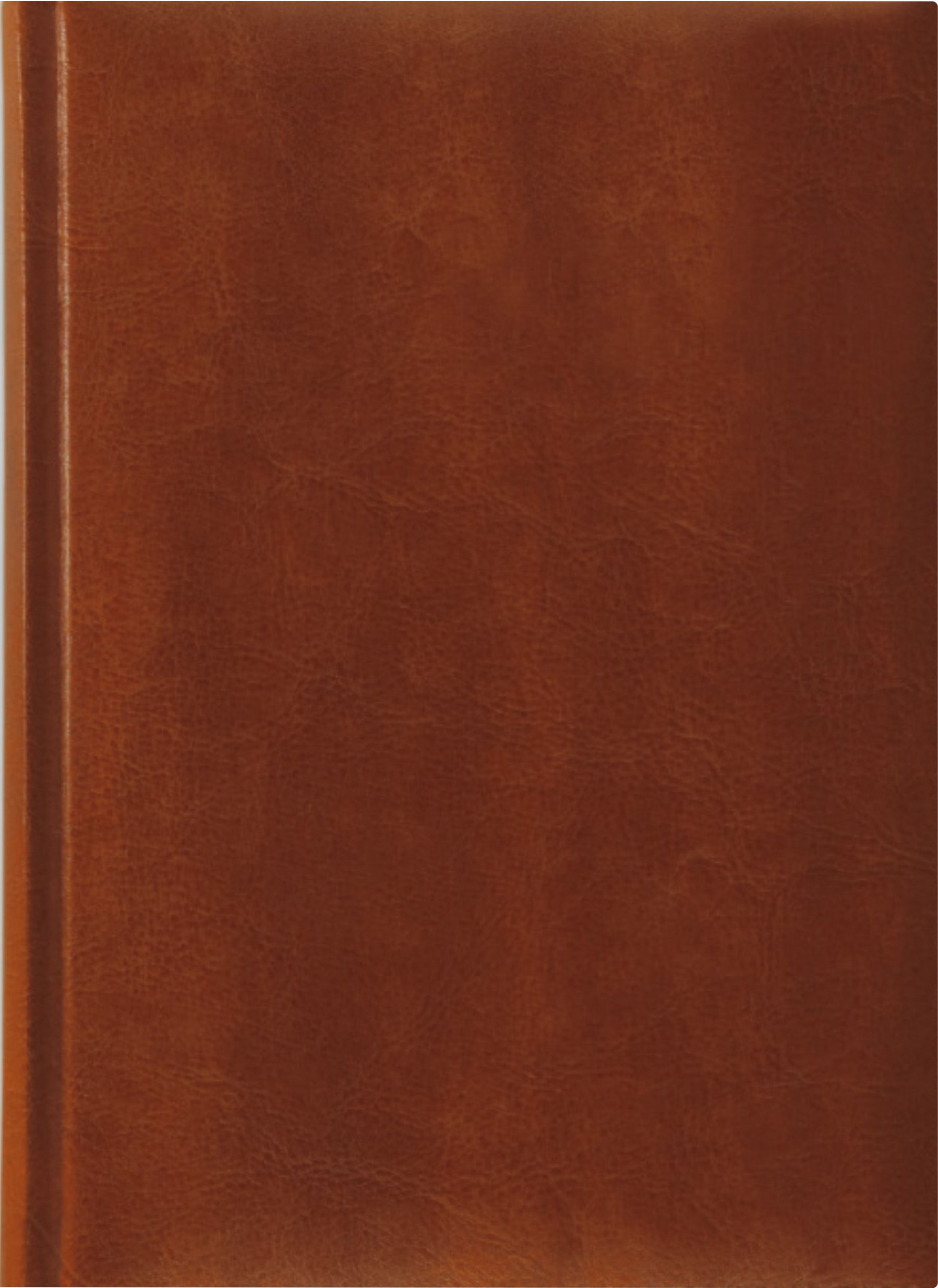 Ежедневник датированный V51 14,5x20,5 см  NEBRASCA англ. красный тонир. бумага, золотой срез