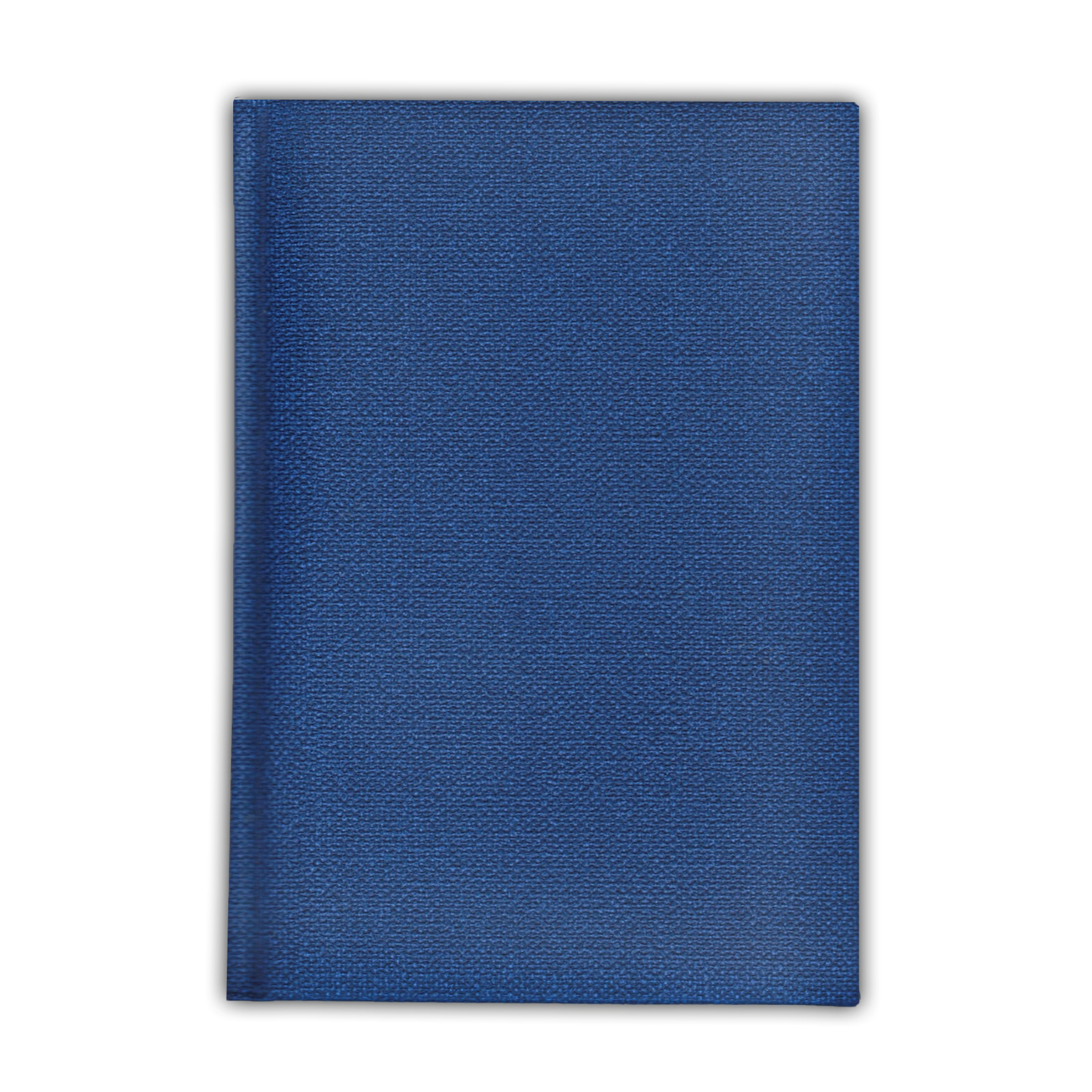 Ежедневник датированный V52 14,5x20,5 см  DELHI синий без среза