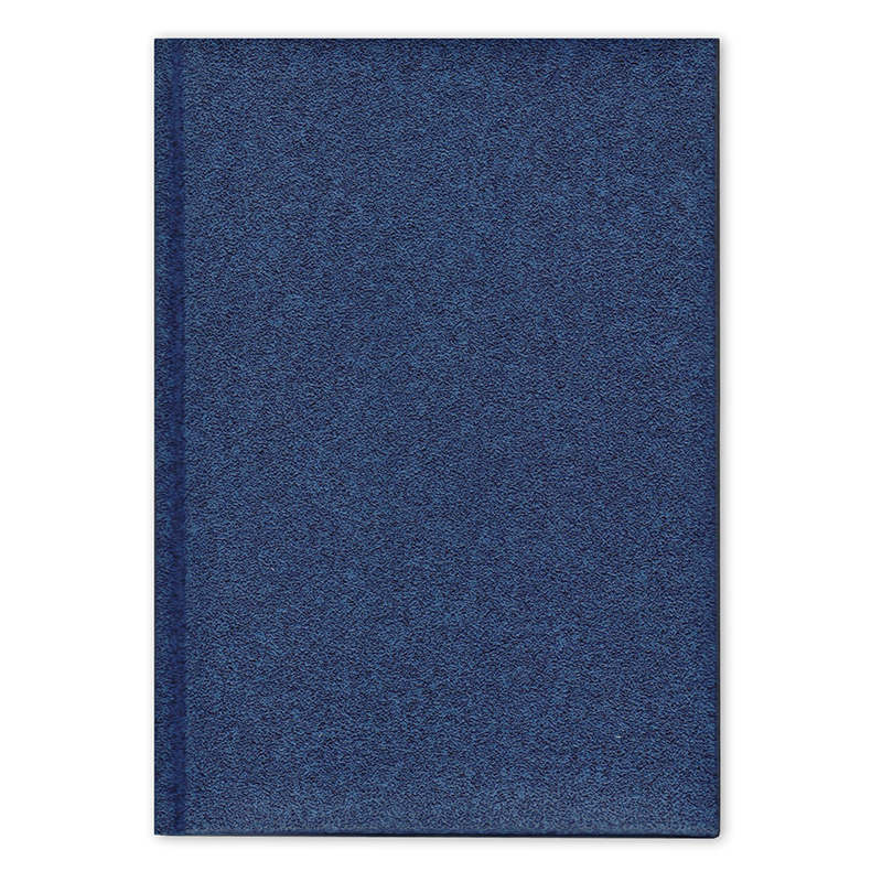 Ежедневник датированный A5, V51, OXIDO, синий