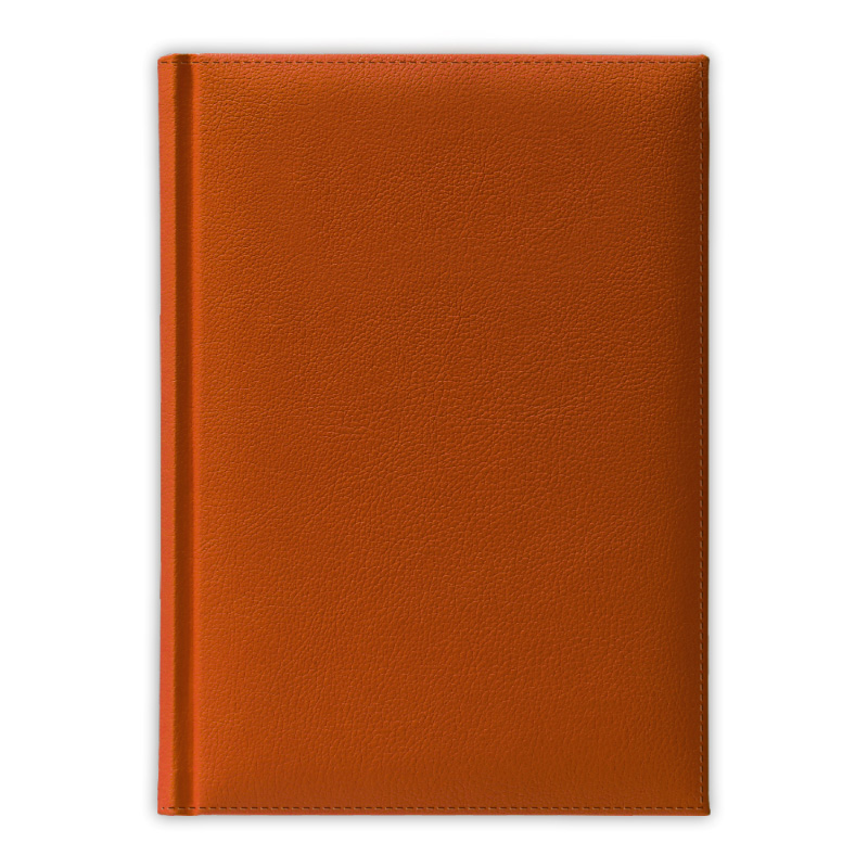 Ежедневник датированный V52u 14,5х20,5 см  PLAZA оранжевый уникум без среза