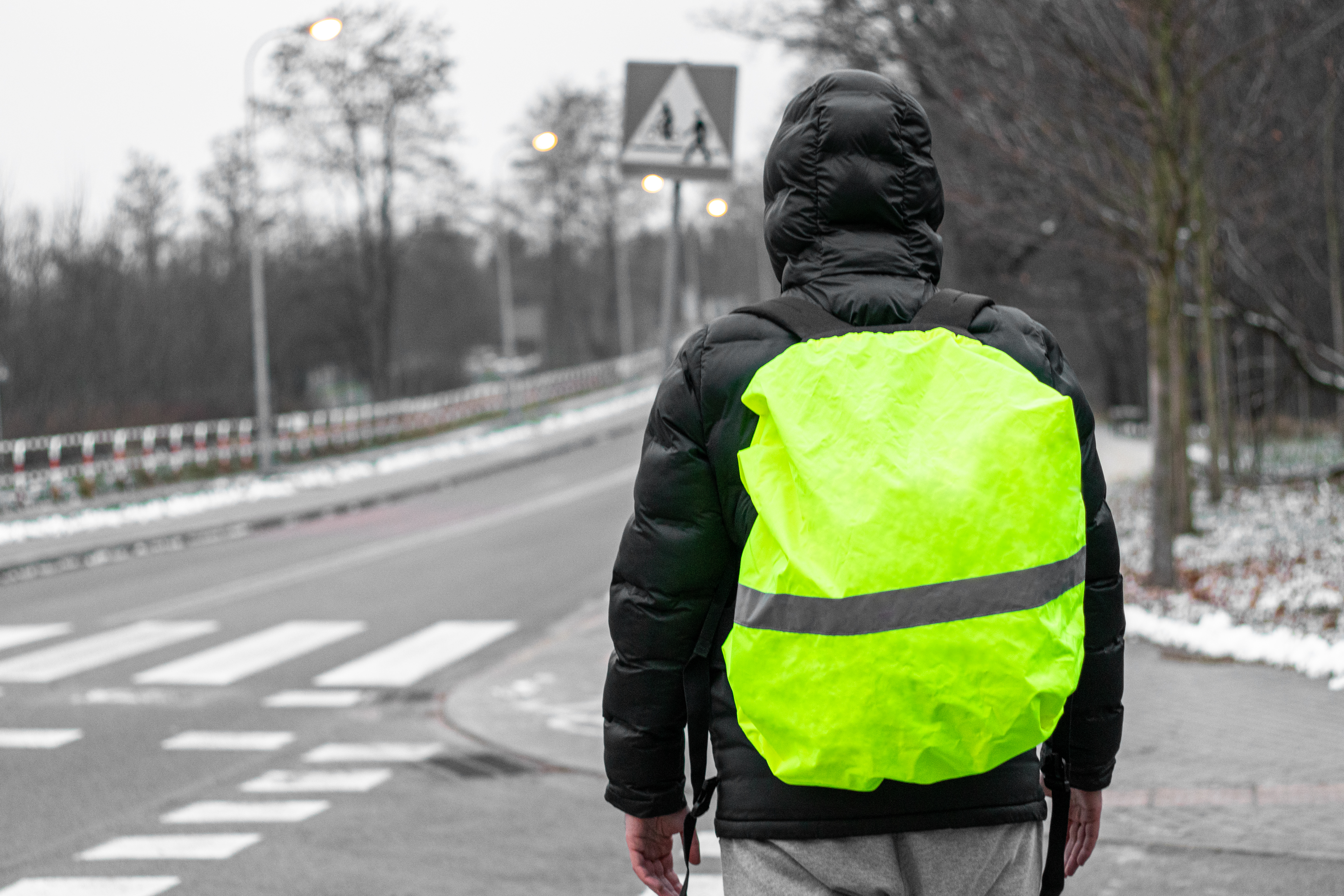 Чехол для рюкзака