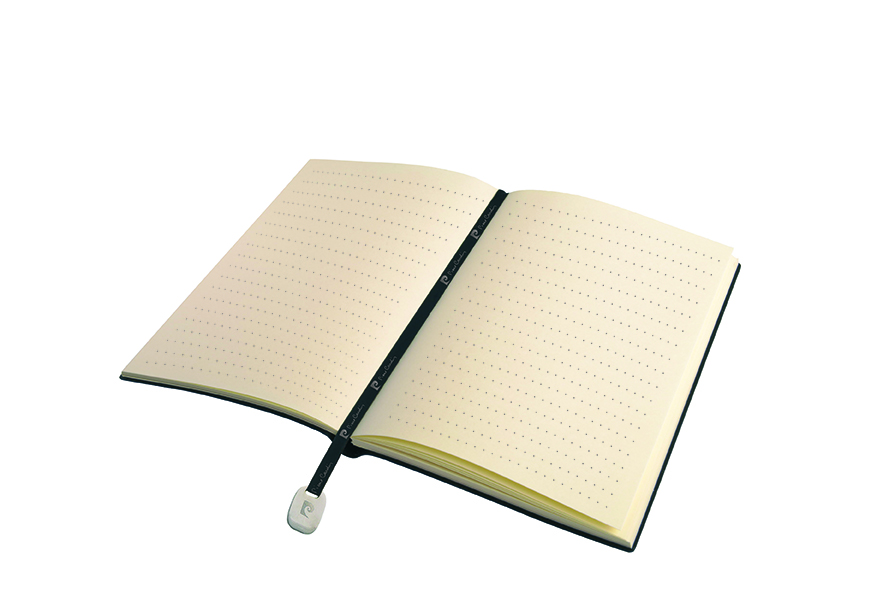 Блокнот А5 REPORTER Pierre Cardin