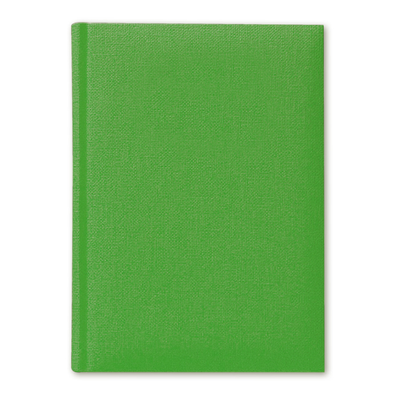Ежедневник датированный V52u 14,5х20,5 см  DELHI светло-зеленый уникум без среза