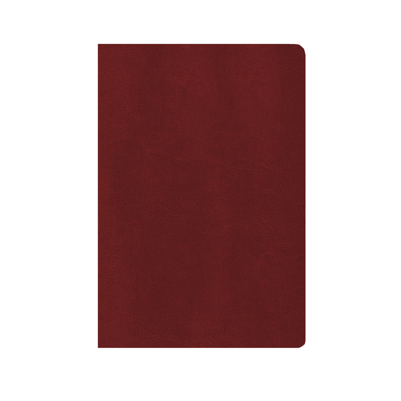 Ежедневник датир. 14,5x20,5 см NEBRASCA FLEX Premium бордовый тонир. бумага